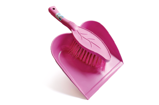 Dust Pan with Brush